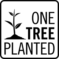 Tree to be Planted - Main & Monroe